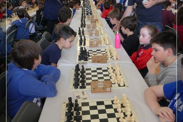 xviii-torneo-147E902C33-9E1A-D462-460C-D32D05FF5985.jpg