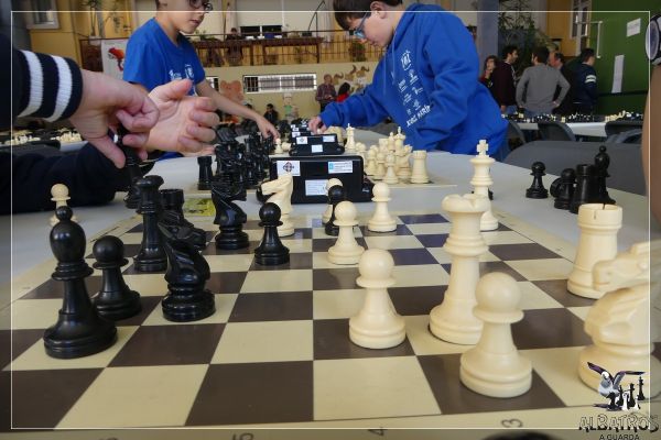xviii-torneo-324D20144-E177-8A82-8A74-944BEA2F8A5D.jpg