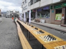 Goian_2017(11)