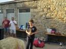 Goian_2019(73)